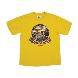 ARE YOU EXPERIENCED? TEE SUNFLOWER