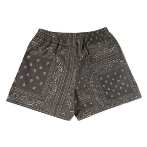 UAP Paisley Tech Shorts Paisley