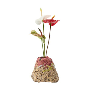 WOVEN ECOLOGY VASE NATURAL MIX