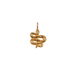 
            
                Load image into Gallery viewer, Serpent Charm Gold
            
        